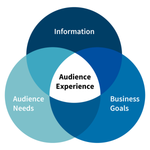 Audience experience aligns information, user needs, and business goals